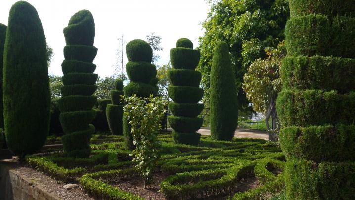 Madere - Jardin botanique - Cculptures végétales
